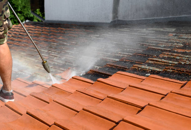 Roof Power Washing Services in Marion, KY